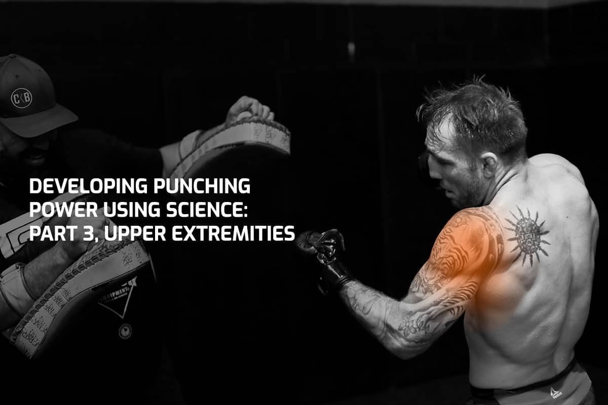 Developing Punching Power Using Science: Part 3, Upper Extremities