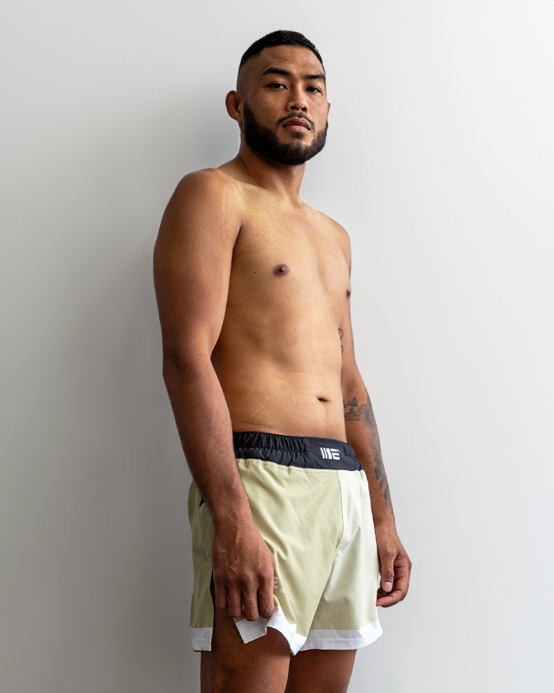 Zephyr MMA Hybrid Shorts